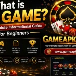 Inside 01 Game: Rules, History and the Rooms Worth Checking First illustration for Indian Android users
